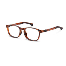 Load image into Gallery viewer, Nano Power Up 3.0 Tortoise/Brown angled view