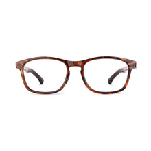 Load image into Gallery viewer, Nano Power Up 3.0 Tortoise/Brown front view
