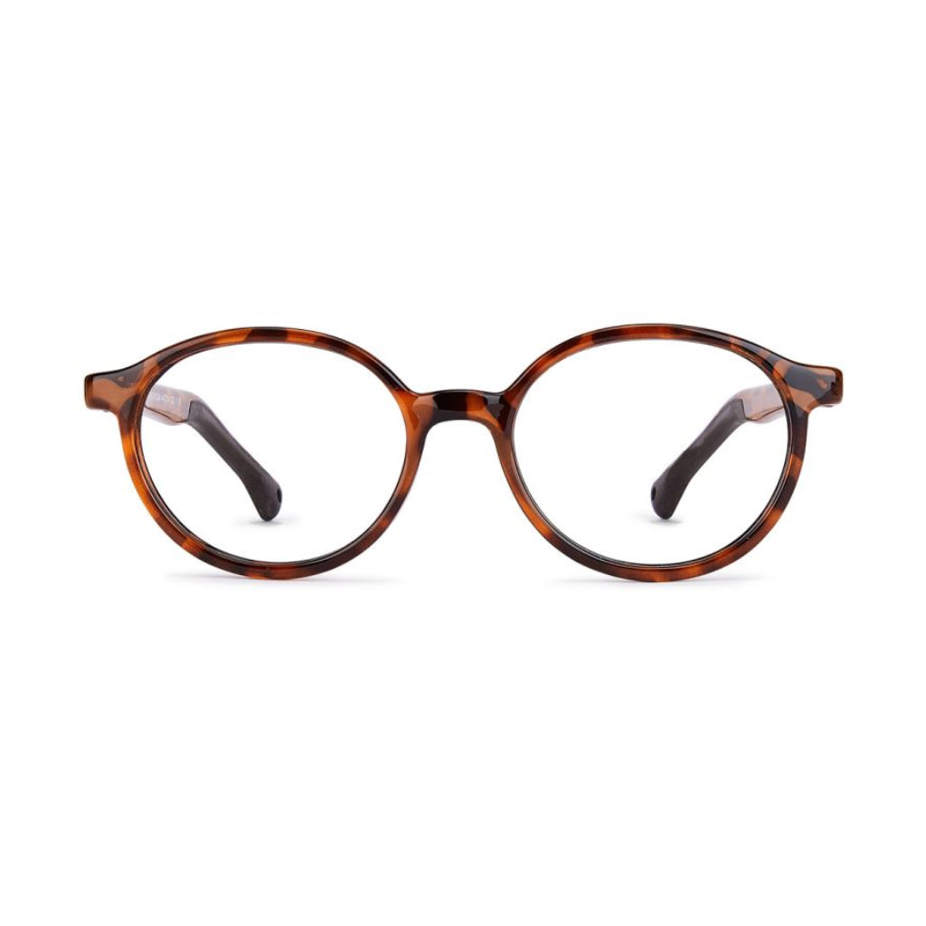 Nano Flicker 3.0 Caretta Turtle/Brown front view