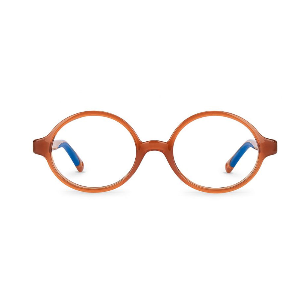 Nano Loading 3.0 Brown/Blue Frame front view