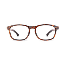 Load image into Gallery viewer, Nano Power Up 3.0 Tortoise/Brown front view
