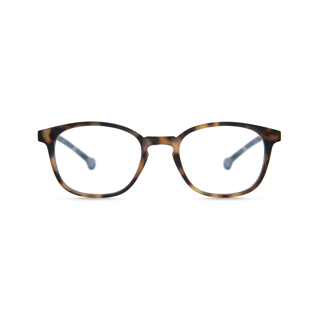 Parafina Sena Tortoise Reading Glasses Front View