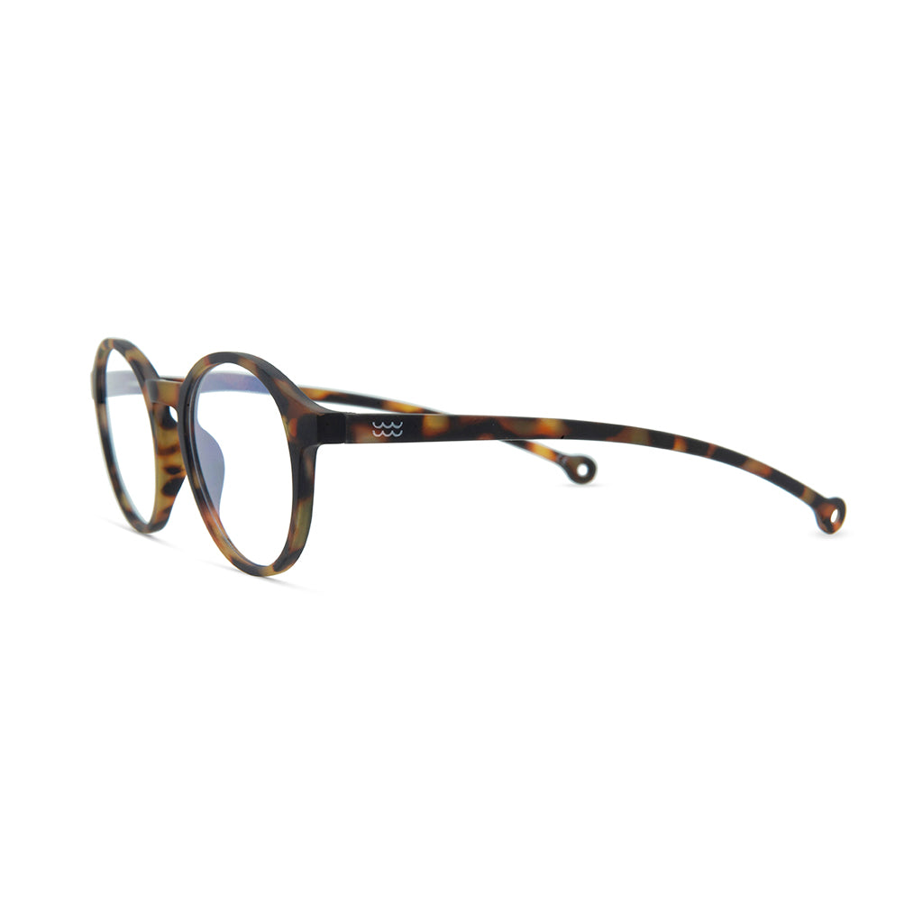 Parafina Volga Reading Glasses in Tortoise angled view