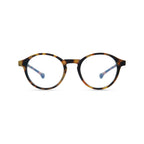 Parafina Volga Reading Glasses in Tortoise front view