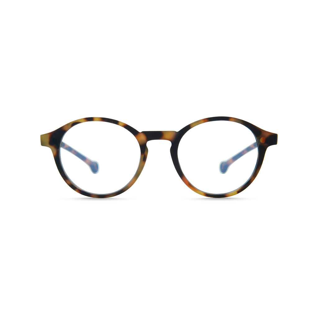 Parafina Volga Reading Glasses in Tortoise front view